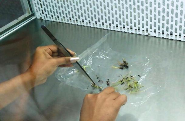 KK Wagh College of Agricultural Biotechnology Nashik Campus photo 6